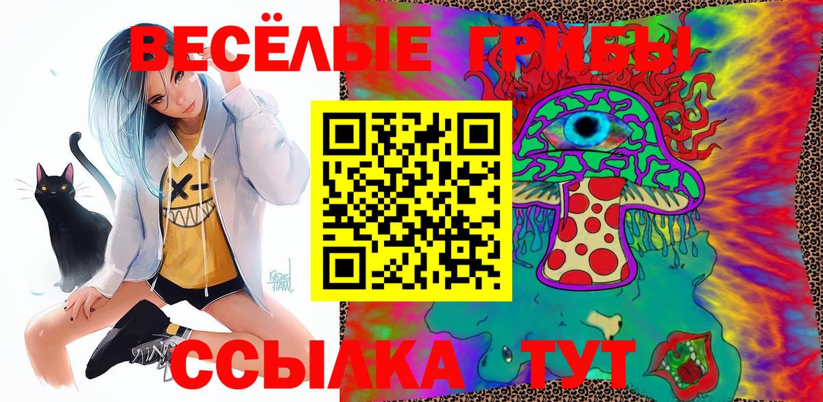 Чайковский  Псилоцибиновые грибы мицелий  наркота  Вход с VPN  Псилоцибиновые грибы Psilocybine cubensis 